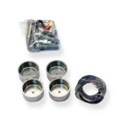 Repair Kit 2P Caliper -...