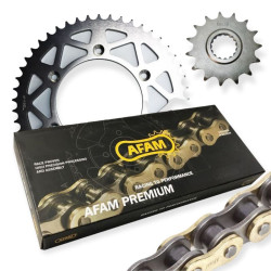 AFAM A520XSR-G 118L CHAIN